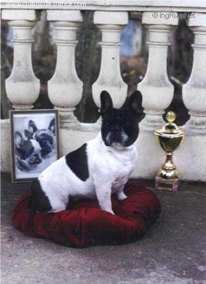 des Bourbon d'Allier - 5 MARS 1996..5 MARS 2019:SOUVENIR