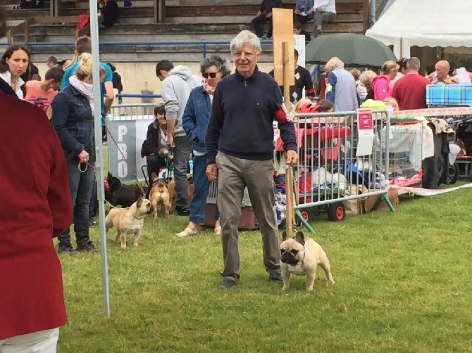 des Bourbon d'Allier - EXPO DE HERM- DAX...