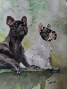  - Le portrait de votre bouledogue..? Aquarelle d'aprés photo