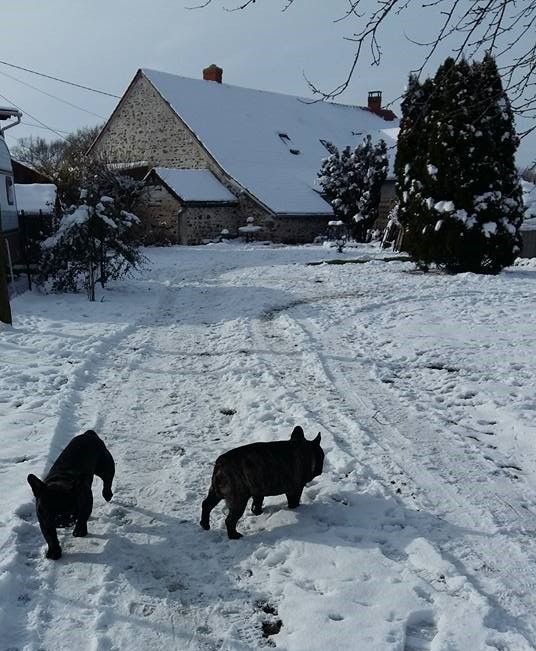 des Bourbon d'Allier - LA NEIGE EN BOURBONNAIS..10 FEVRIER/18