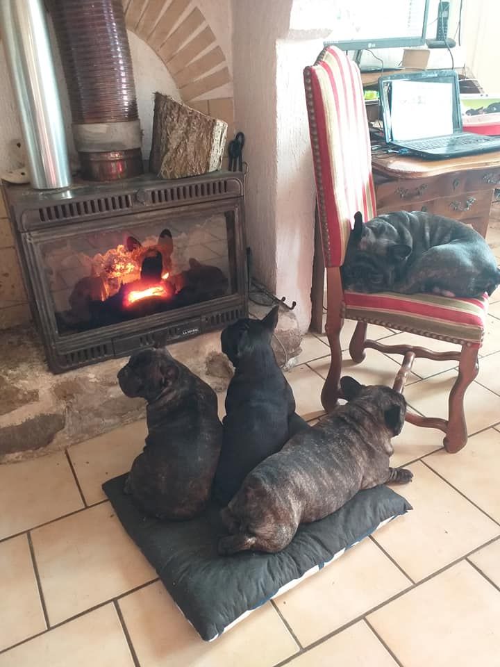 des Bourbon d'Allier - L'hiver en AUVERGNE.