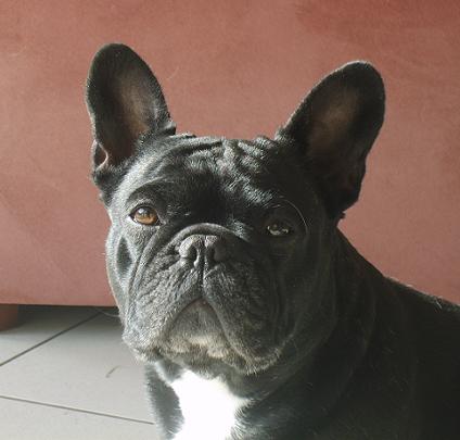 Victoria reine des Bourbon d'Allier