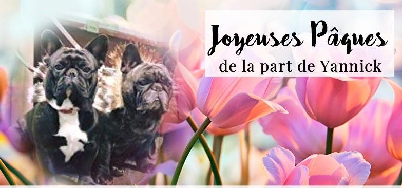 des Bourbon d'Allier - JOYEUSES FËTES DE PÄQUES