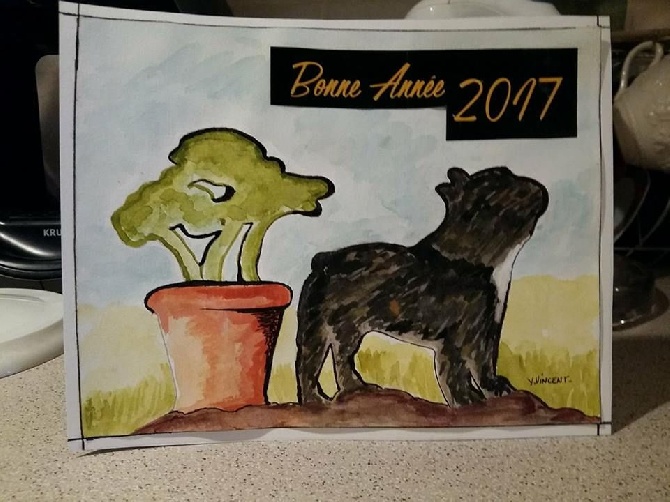 des Bourbon d'Allier - MERVEILLEUSE ANNEE 2017