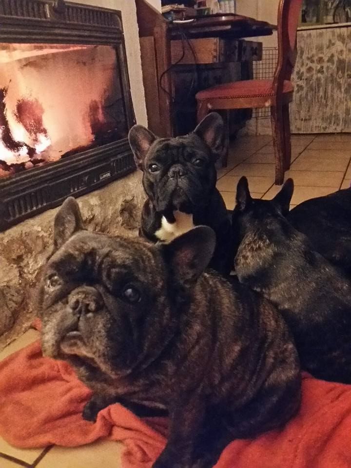 des Bourbon d'Allier - NOVEMBRE :La cheminée est en route.....