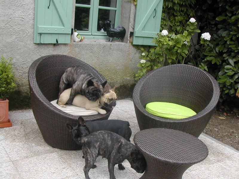 L'été au jardin........